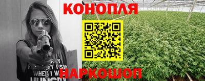 крисы Кунгур