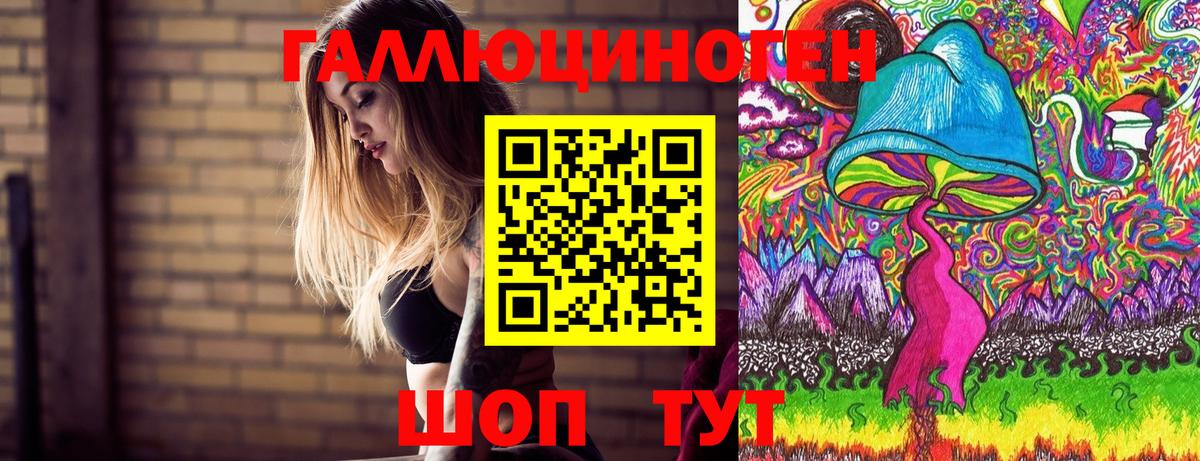 Железногорск  Галлюциногенные грибы MAGIC MUSHROOMS  Вход с VPN  Галлюциногенные грибы Psilocybe 